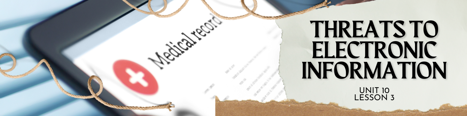 Lesson 3: Threats to Electronic Information Banner